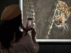 -罗红摄影艺术馆