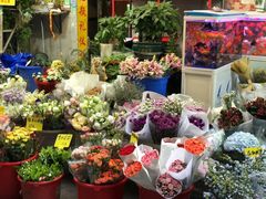 -循礼门鲜花花市(武汉循礼门店)