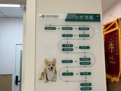 -瑞派康怡24h宠物医院·犬猫医疗中心·微创绝育(瑞景分院)