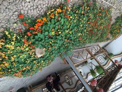 iphone_upload_pic-上海都市菜园