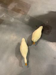 -Zoolung Zoolung动物主题公园(海信广场店)