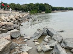 -深圳湾公园(南山区)