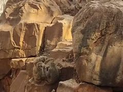 -昆明动物园