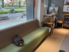 -御宝贝·A梦猫科宠物医院(国际猫友好医院)
