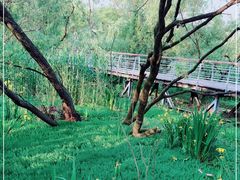 -西湖风景区-江洋畈生态公园