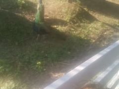 -上海动物园(地铁站)