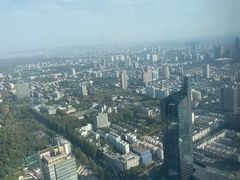 -紫峰大厦
