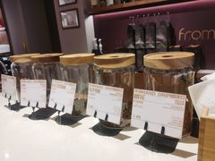 -Punchline Coffee&Roaster(同济大学店)