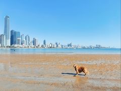 -青岛第三海水浴场