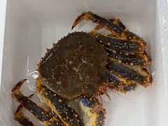 -蚝专家(北滘店)