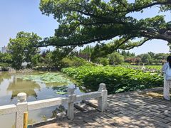 -江心屿景区