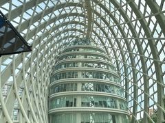 -凤凰中心