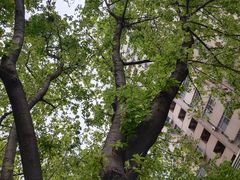 -禾绿寿司·定食·拉面·烧炸(喜荟城店)