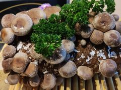 -湯系·煲汤手艺人(东二环泰禾广场店)