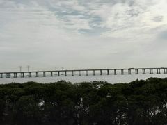 -宝安西湾红树林湿地公园