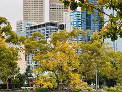 -墨尔本皇家植物园