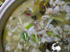 -真味酸菜鱼·炭火牛蛙