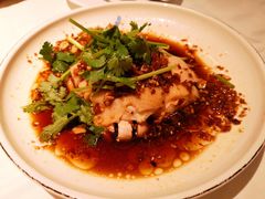 沙姜走地鸡-博多新记·粤菜(复兴店)