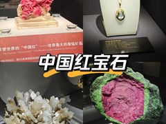 -湖南省地质博物馆