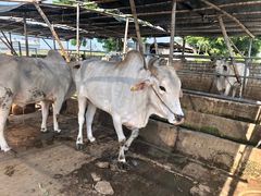 -蔡社牛肉城(龙湖店)