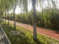 -永定河休闲森林公园