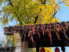 -惠山古镇·寄畅园