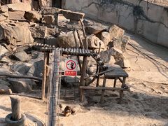-青藏高原野生动物园