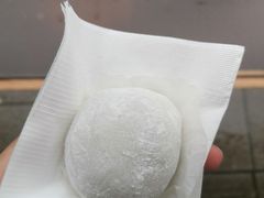 红豆糯米糍-澳门长洲糯米糍(柯打苏沙街店)