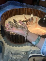 -酷嗒动物文化乐园(cutezoo西溪乐天城店)