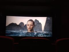 -万达影城(锦华万达广场IMAX店)