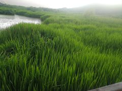 -泸沽湖国家级风景名胜区走婚桥