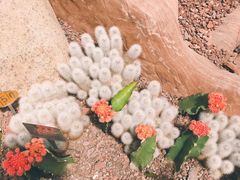 -南通洲际绿博园