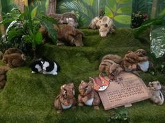 -济州岛泰迪熊博物馆