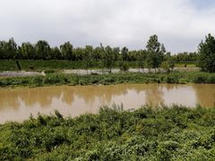 -洨河生态公园