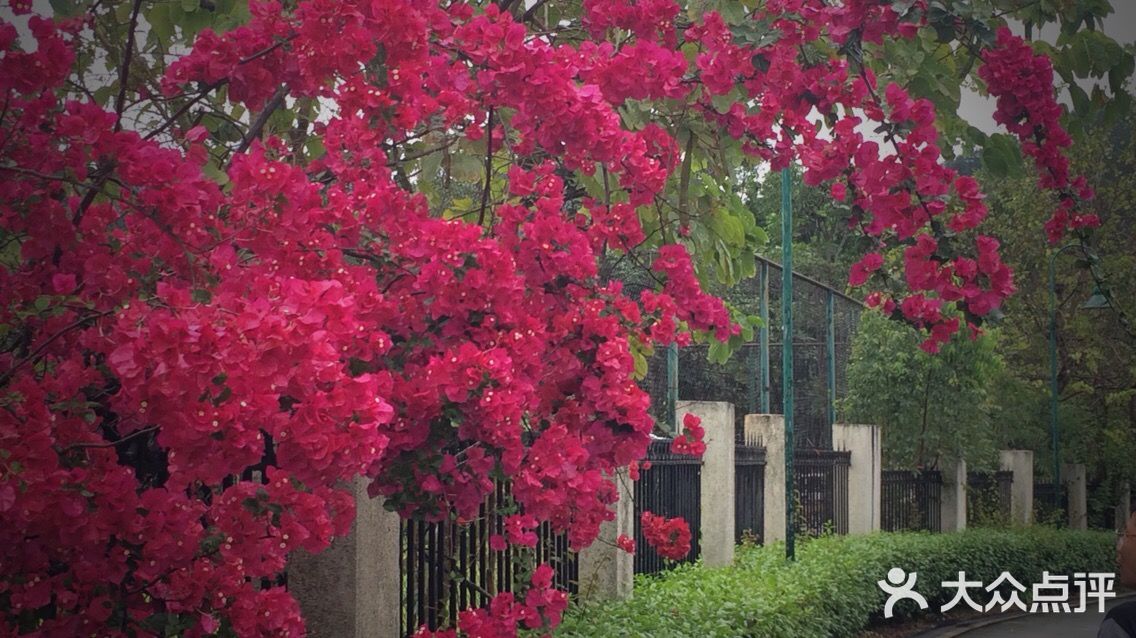 广州都喜泰丽温泉度假酒店都喜泰丽温泉度假酒店图片