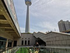 -陕西自然博物馆