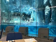 -帝企鹅自助餐厅•儿童岛•真企鹅(长隆企鹅酒店)