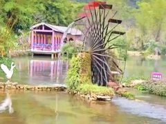 -靖西鹅泉风景区