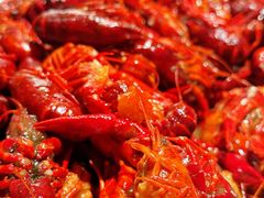 -上海东方佘山翰悦阁酒店·Vie全日制餐厅