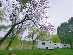 -上海影视乐园