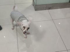 -纳吉亚猫专科动物医院博雅分院