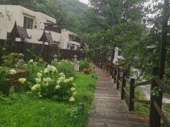-Local泰莲庭(虹鳟鱼店)