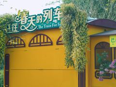 -南山植物园