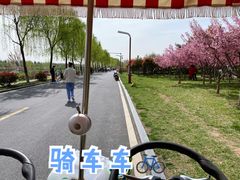 -洨河生态公园