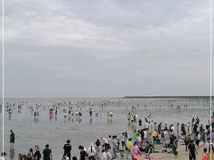 -奉贤海滩