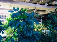 -红栌温泉山庄生态美食餐厅