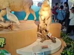 -陕西自然博物馆