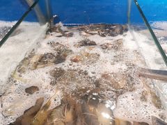 -餐海·海鲜自助餐厅(宝龙广场店)