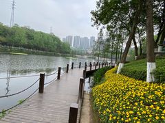 -重庆彩云湖湿地公园