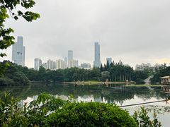 -荔枝公园(福田区)